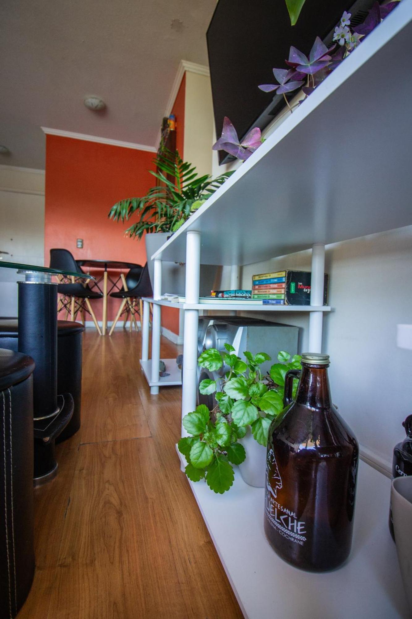 Apartamento Hermosa Vista Laguna Tres Pascualas Concepción